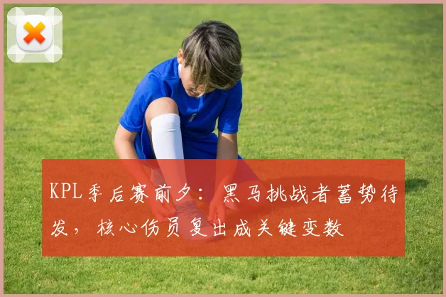 KPL季后赛前夕：黑马挑战者蓄势待发，核心伤员复出成关键变数