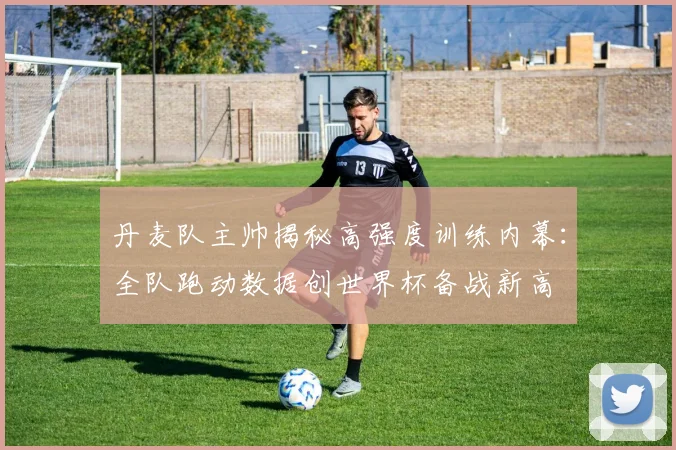 丹麦队主帅揭秘高强度训练内幕：全队跑动数据创世界杯备战新高