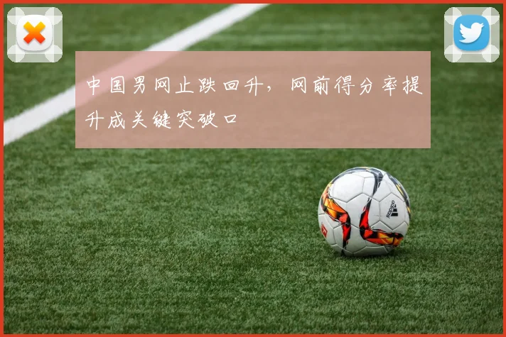 中国男网止跌回升，网前得分率提升成关键突破口
